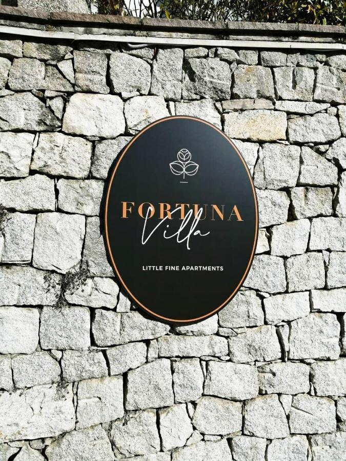 Apartment Fortuna