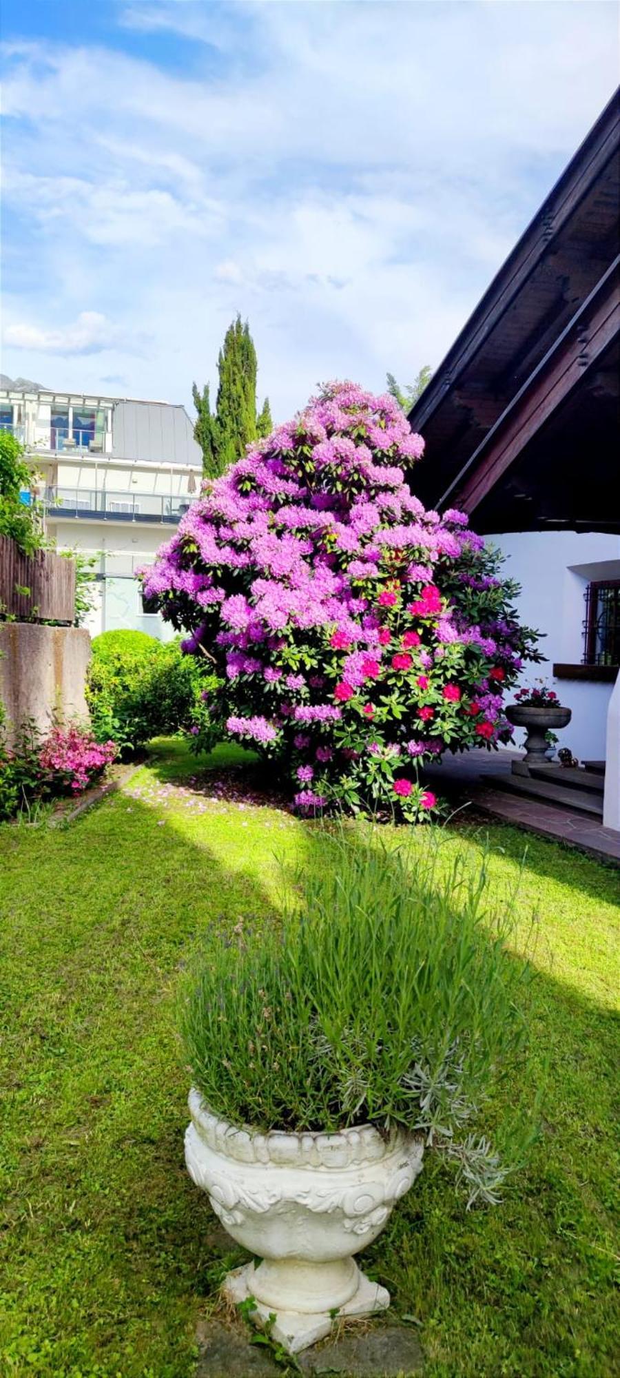 Apartment Fortuna *