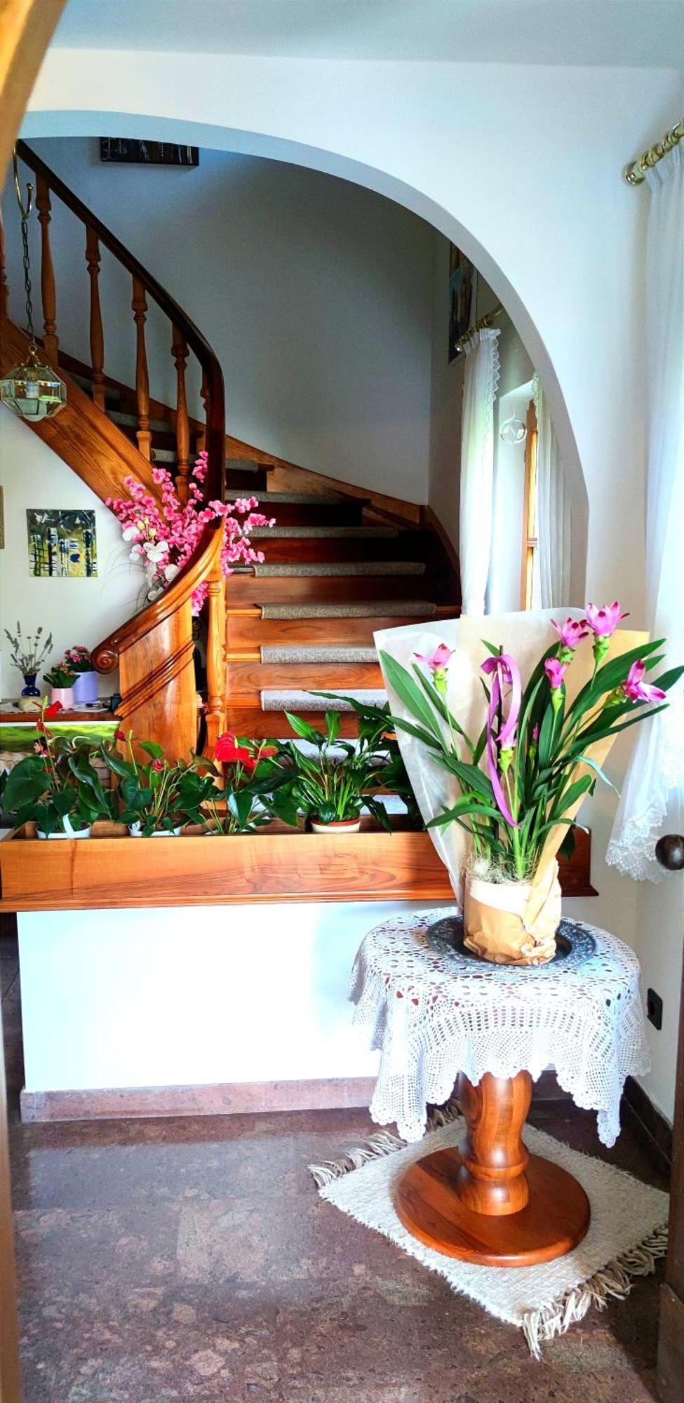 Apartment Fortuna